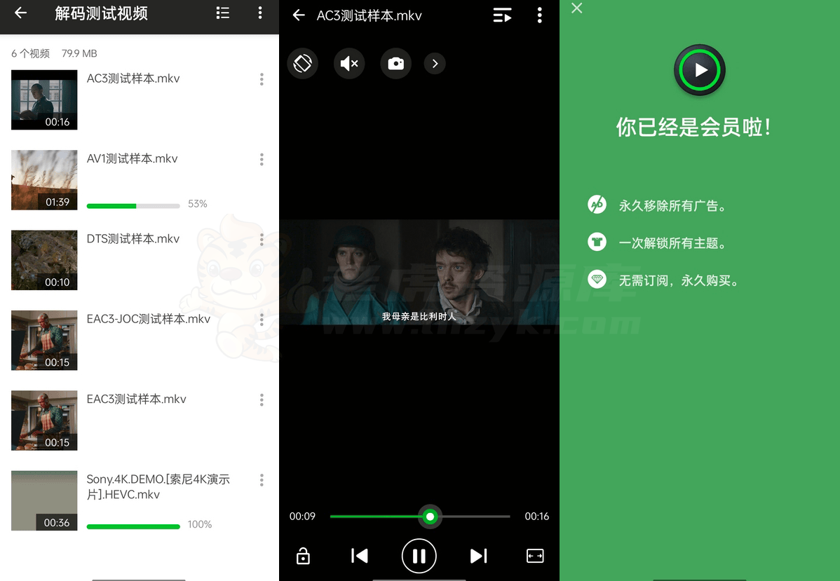 XPlayer v2.4.6.1 解锁版-第1张图片-老虎资源库