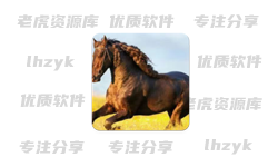 你的电视 v2.1.1 纯净直播