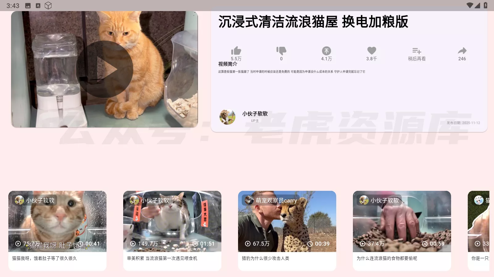 bilitv v0.8.2 全新三方TV版-第2张图片-老虎资源库